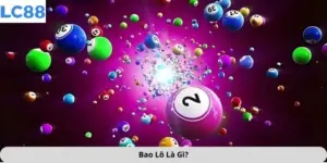 bao lô là gì?