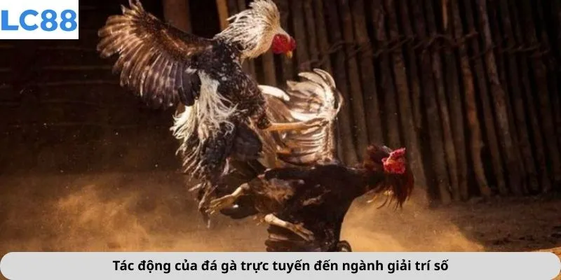 Tác động của đá gà trực tuyến đến ngành giải trí số